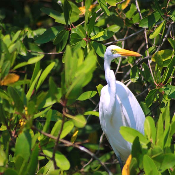 Gozar de la naturaleza – GUERRERO, MARAVILLAS NATURALES